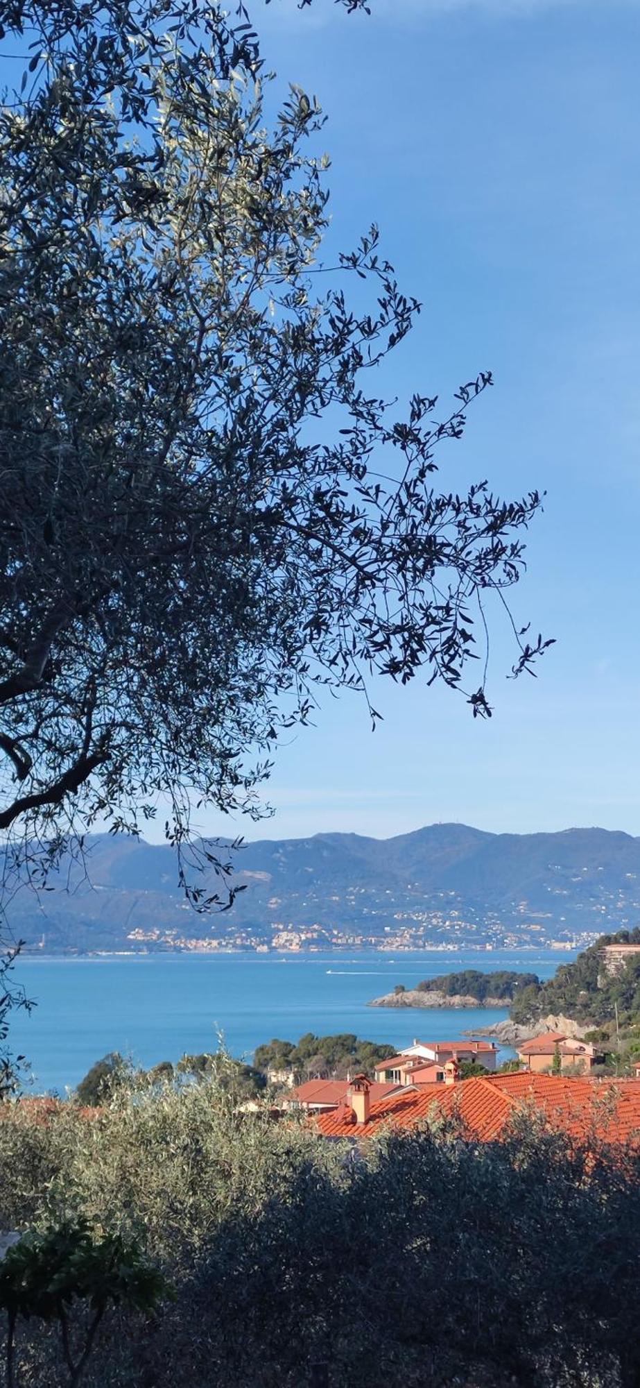 Hotel Campeggio Gianna Golfo Dei Poeti Lerici Exterior foto